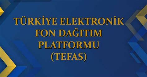 türkiye elektronik fon dağıtım platformu